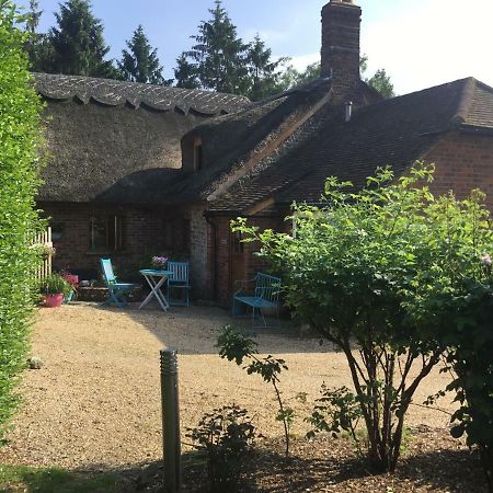 Thatched Cottage Pulborough Zewnętrze zdjęcie